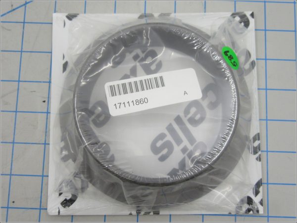 AXCELIS TECHNOLOGIES 17111860