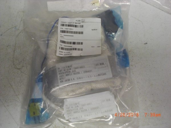 ASM AMERICA INC 7300700011