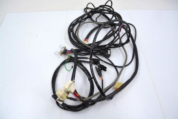 DNS DAI NIPPON SCREEN 23933219CABLEASSY