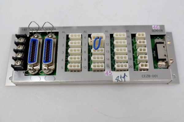 DNS DAI NIPPON SCREEN CEZB001